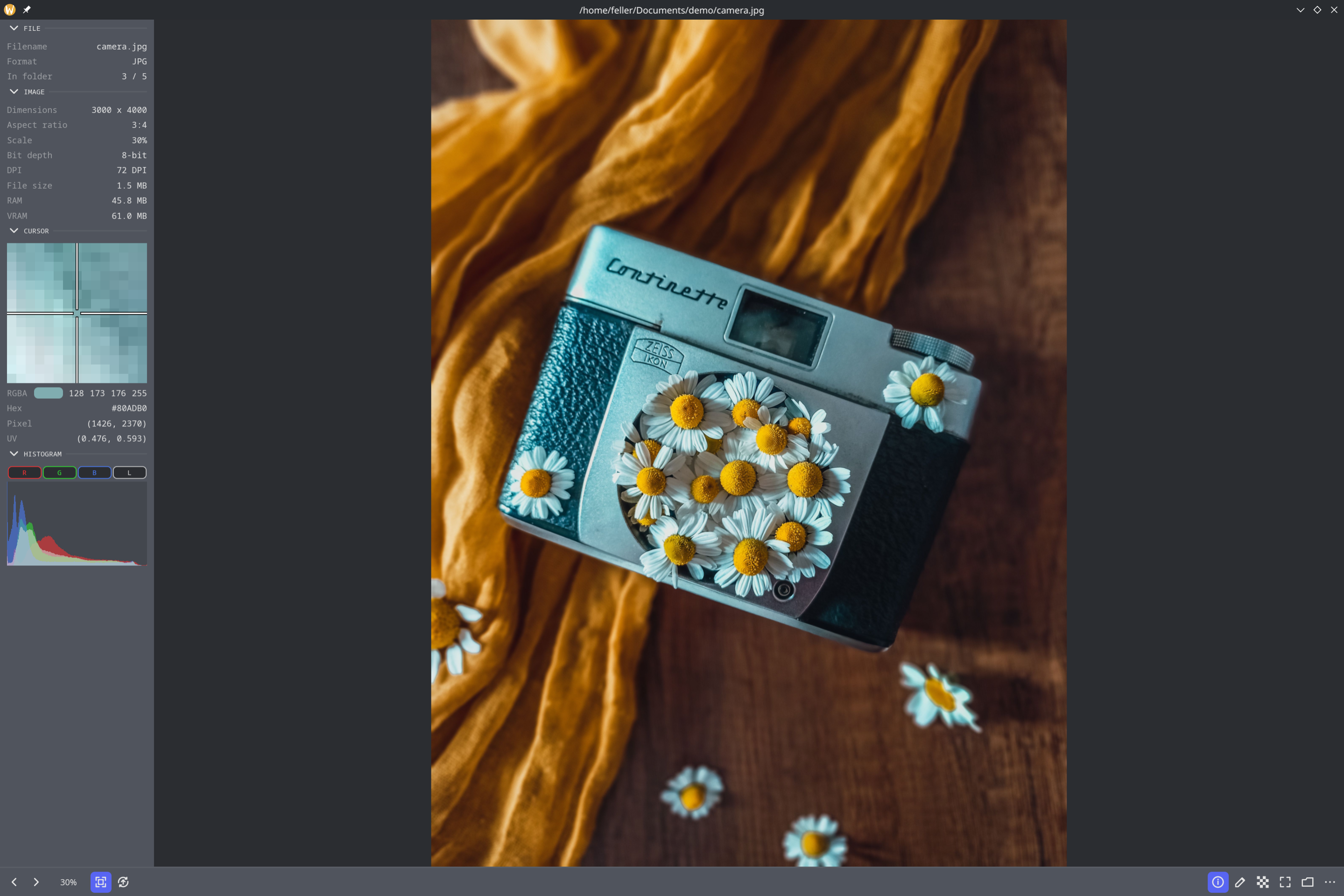 bloom viewing a photo, with the info panel showing EXIF data, pixel color, and a histogram