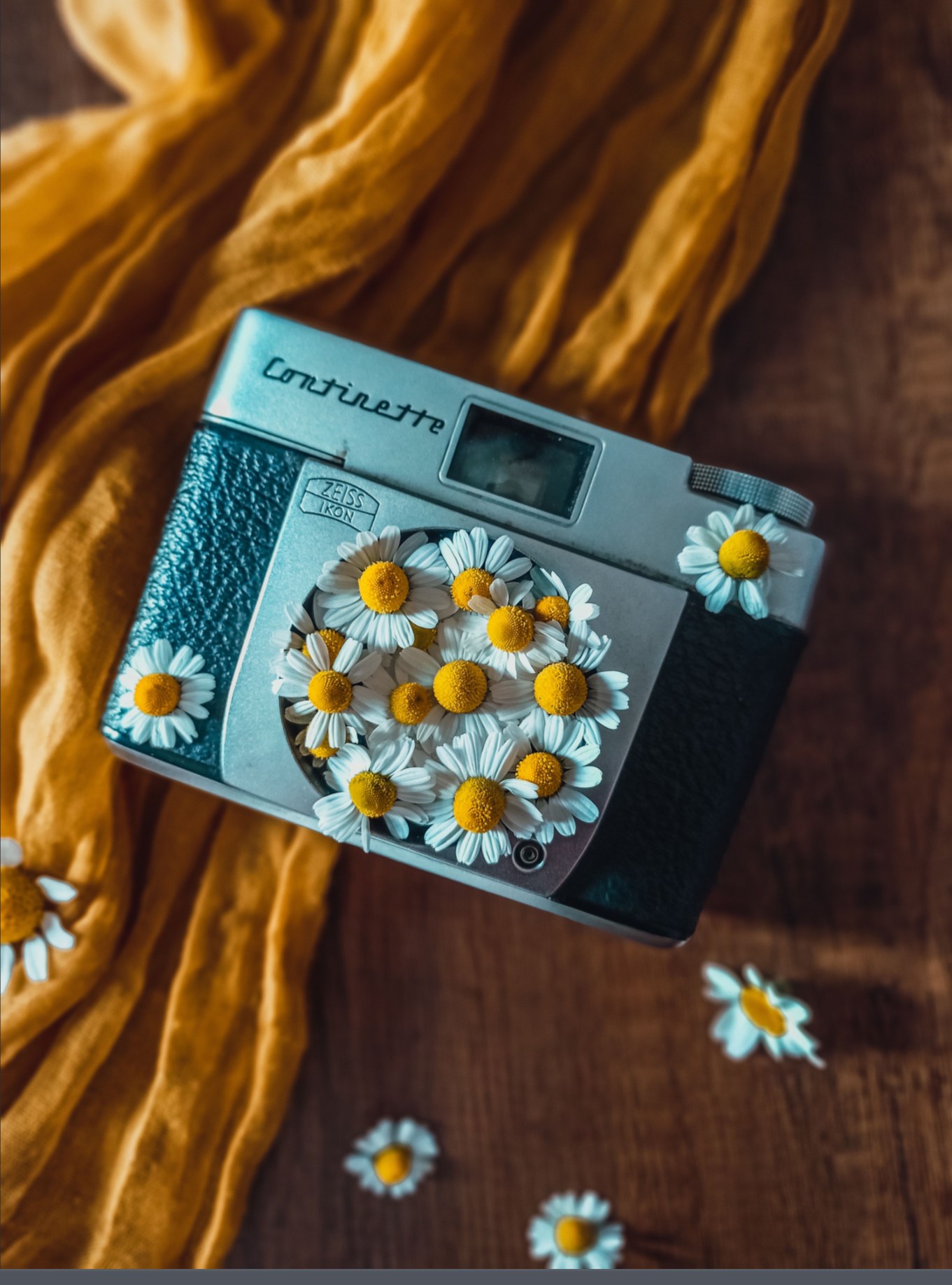 Original photo of daisies on a vintage camera