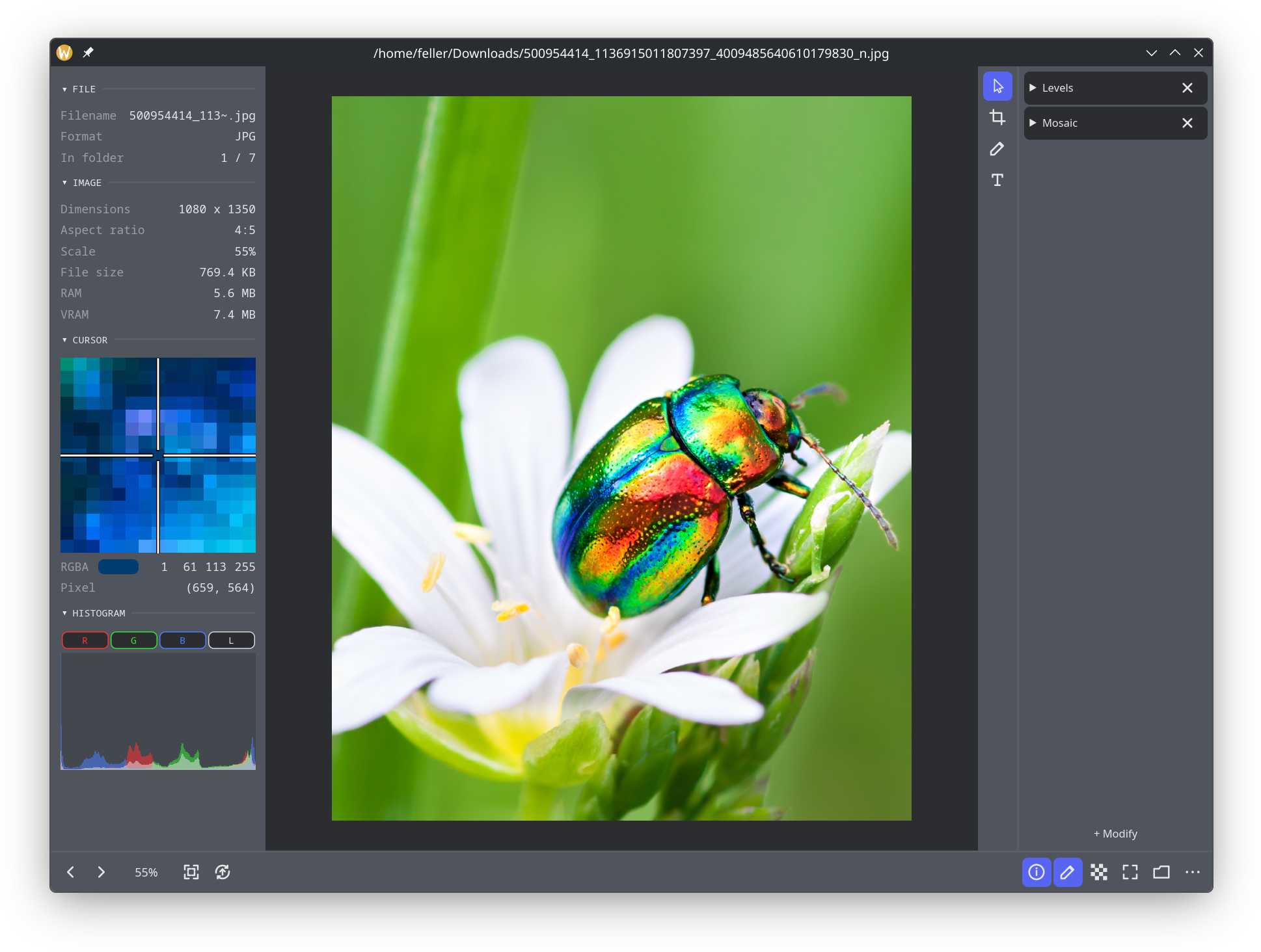 bloom viewing an image at full resolution